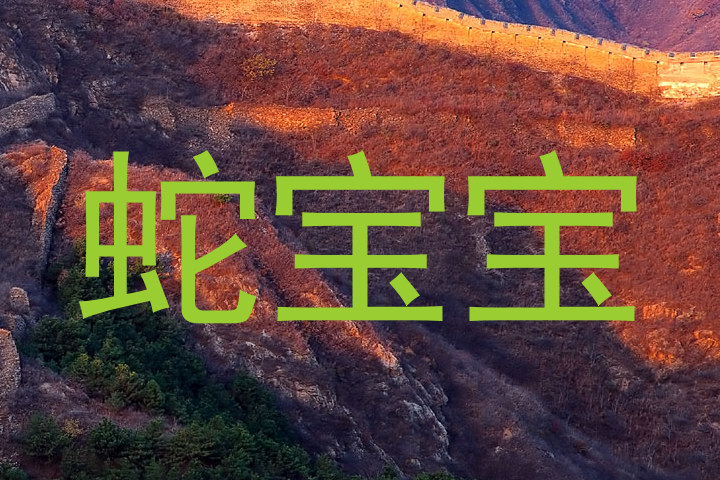 蛇宝宝