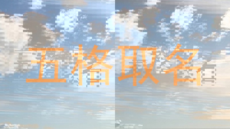 五格取名
