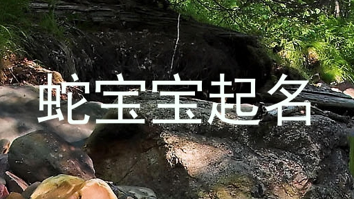 蛇宝宝起名