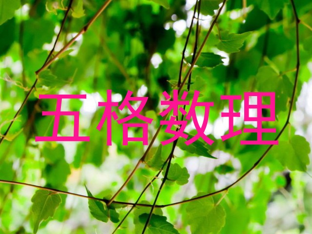 五格数理