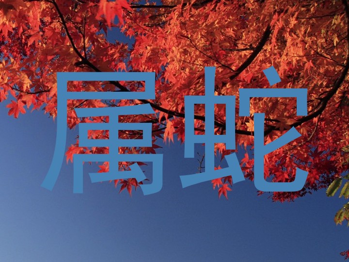 属蛇
