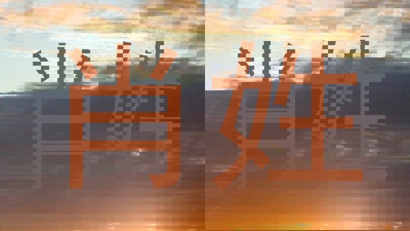 肖姓