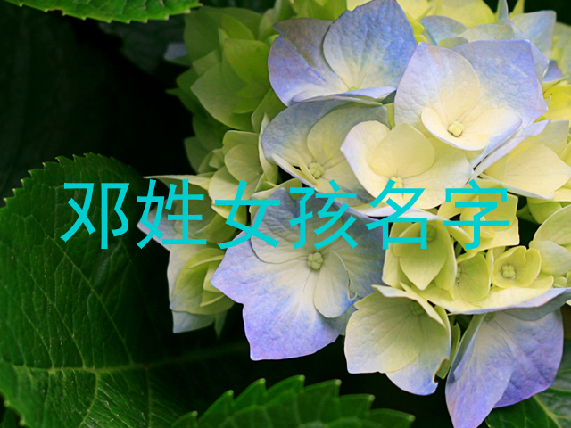 邓姓女孩名字