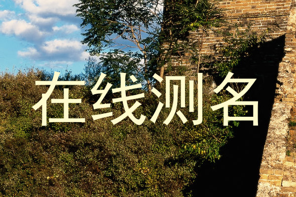 在线测名