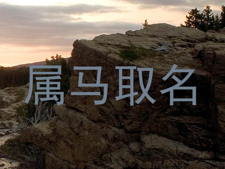 属马取名