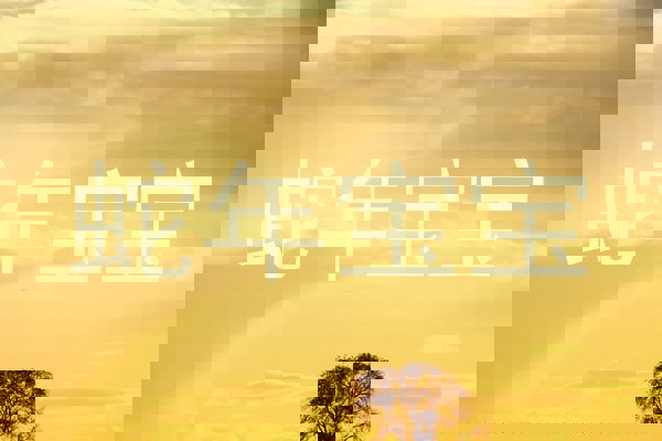蛇年宝宝