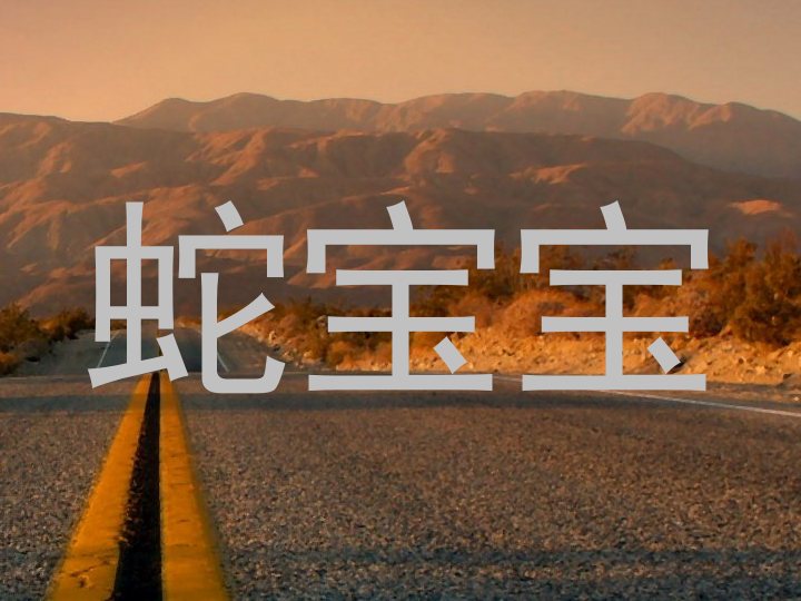 蛇宝宝