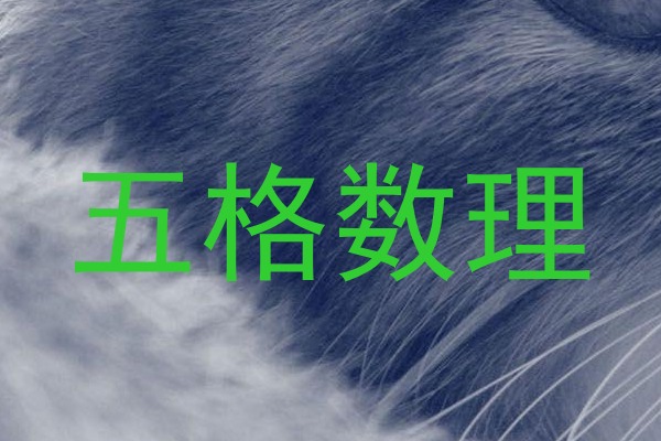 五格数理