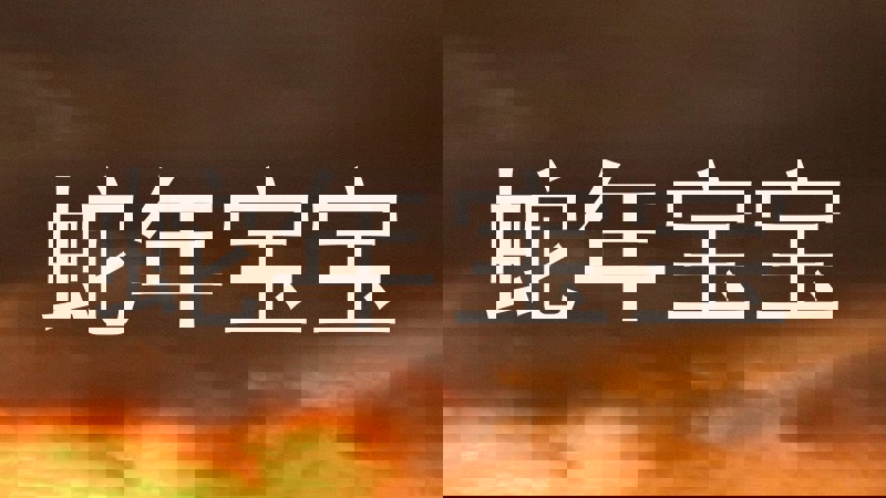 蛇年宝宝