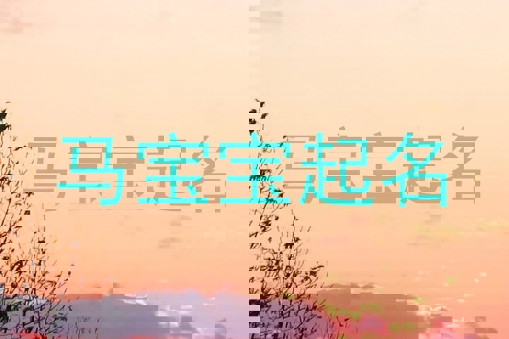 马宝宝起名