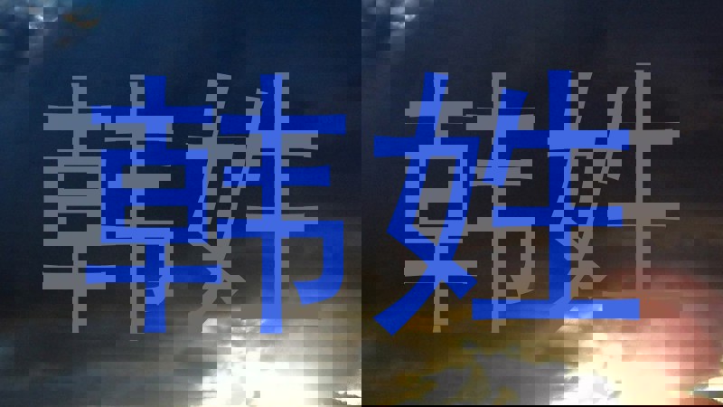 韩姓