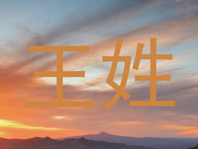 王姓