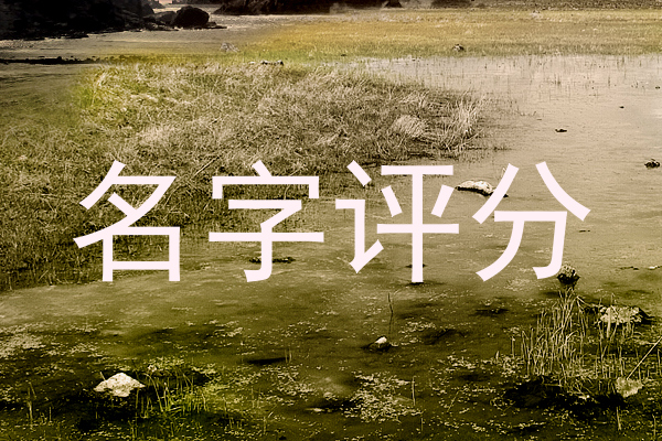 名字评分