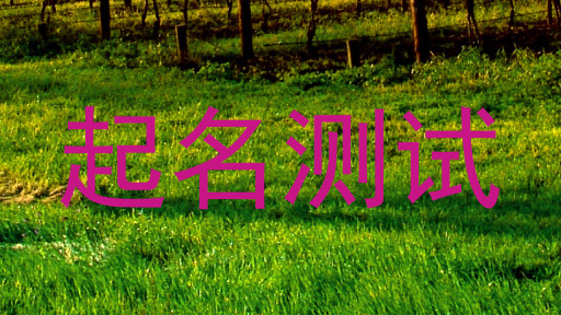 起名测试