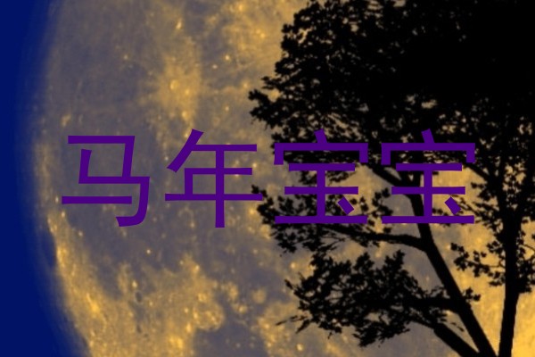 马年宝宝