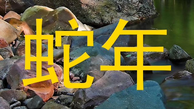 蛇年