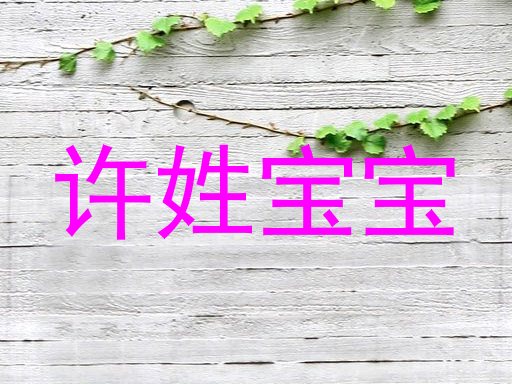 许姓宝宝