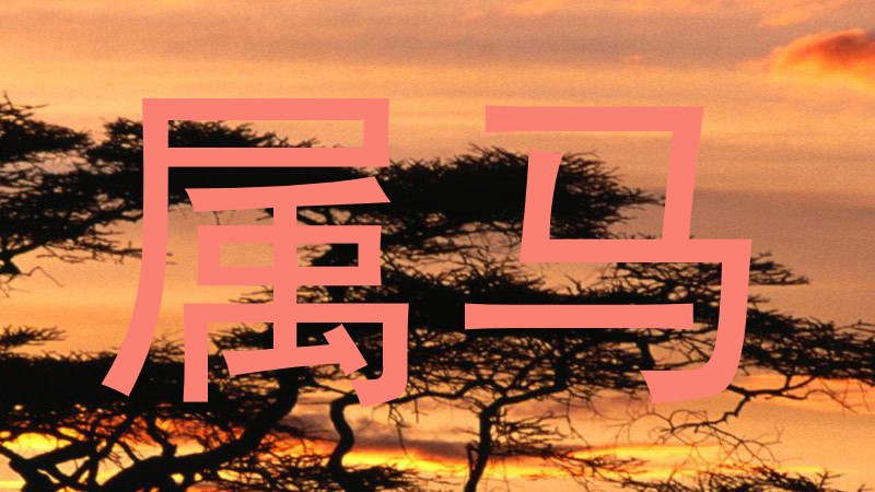 属马
