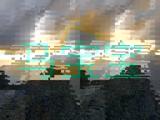 马宝宝