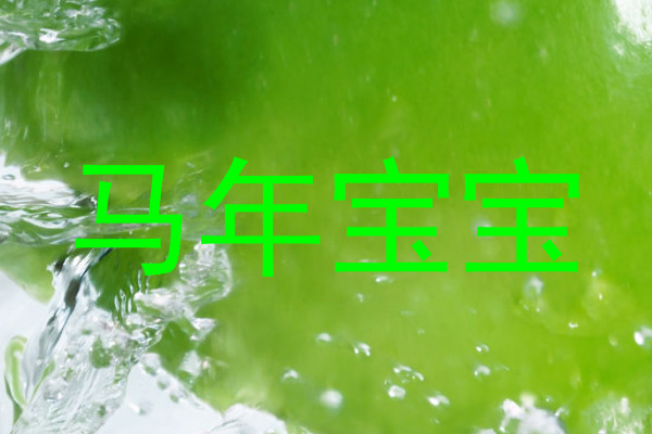 马年宝宝
