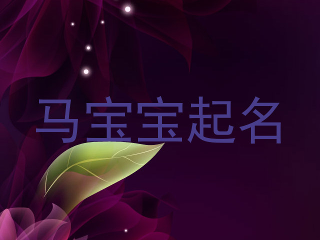 马年宝宝
