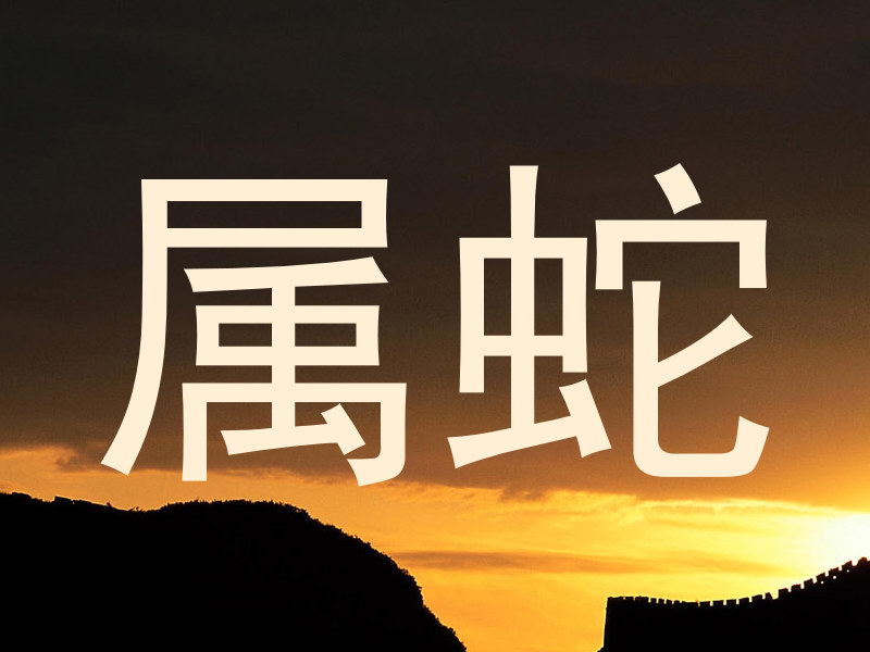 属蛇