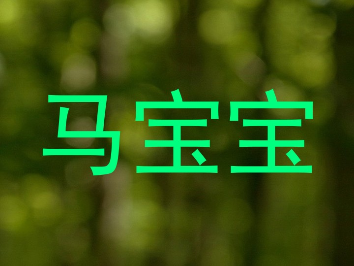 马宝宝