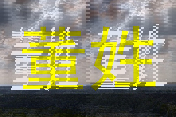 董姓