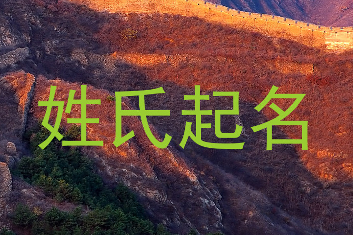 姓氏起名
