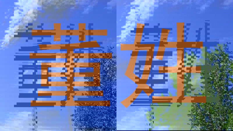 董姓