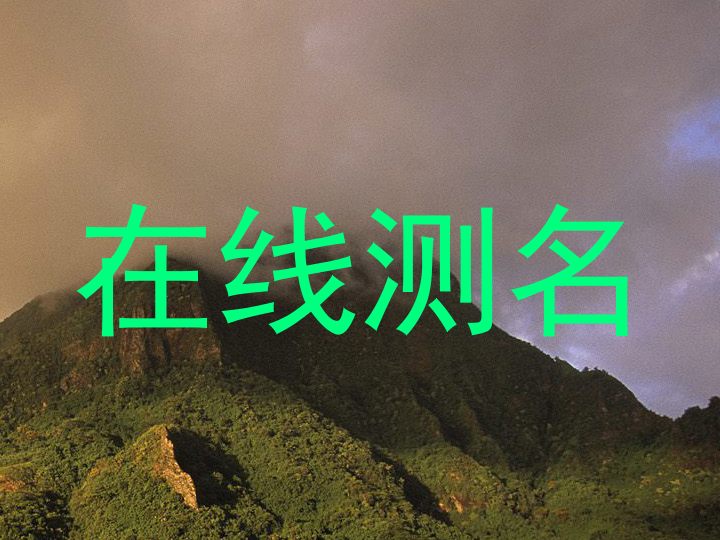 在线测名