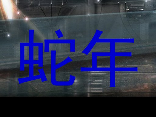 蛇年