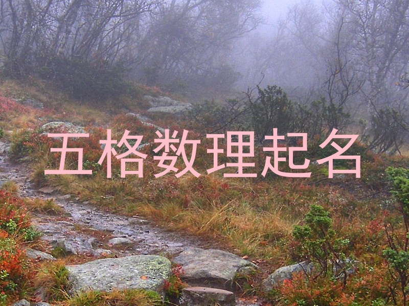 五格数理起名