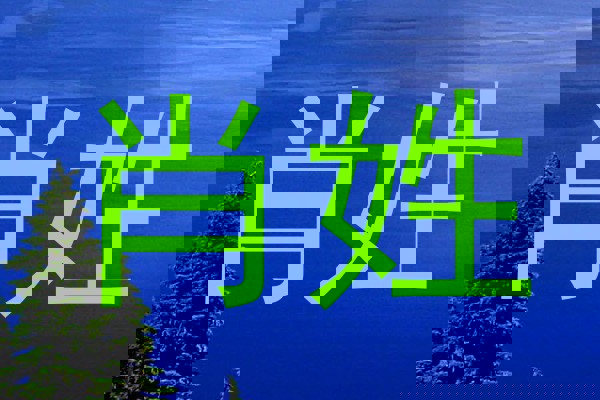 肖姓