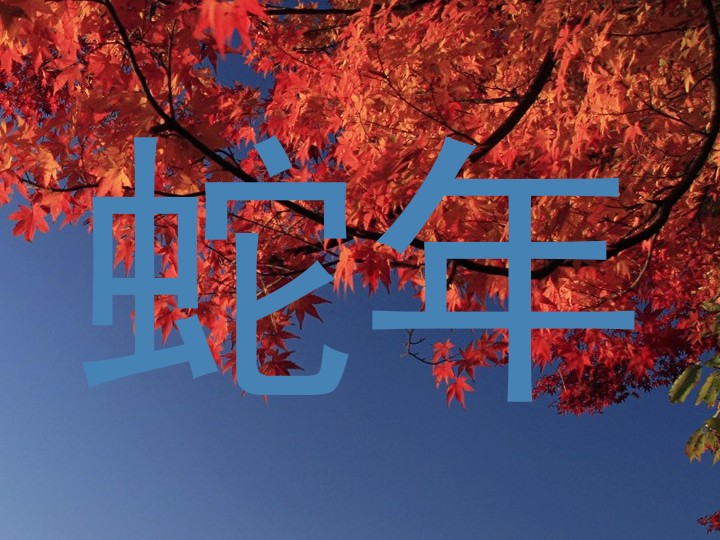 蛇年