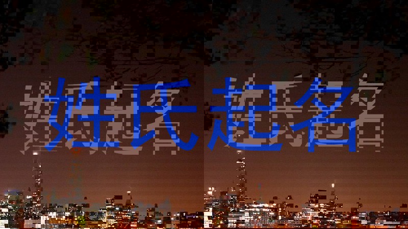 姓氏起名