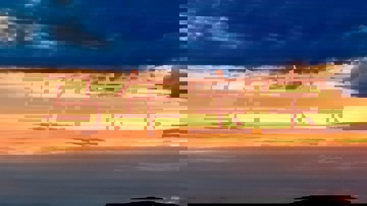 马年宝宝