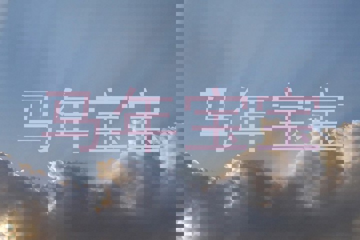 马年宝宝