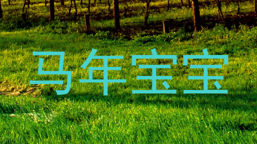 马年宝宝
