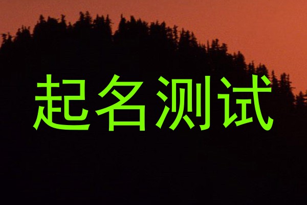 起名测试