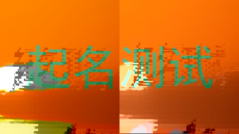 起名测试