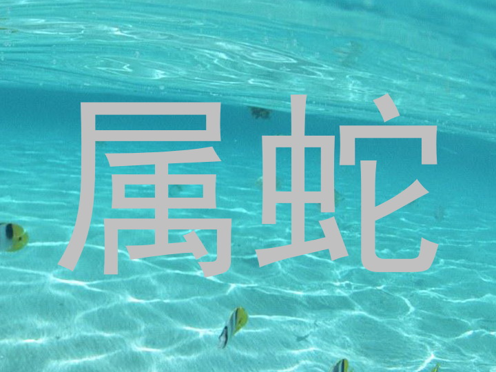 属蛇