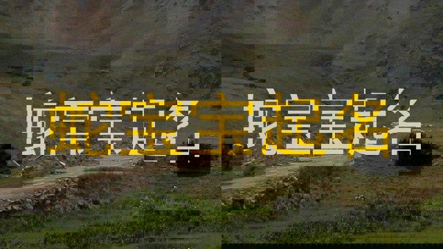 蛇宝宝起名