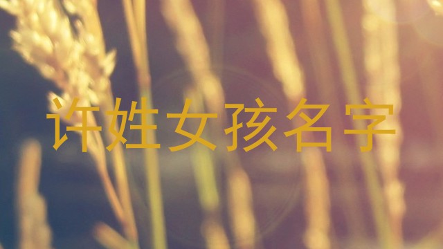 许姓女孩名字