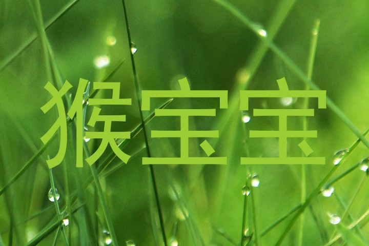 猴宝宝