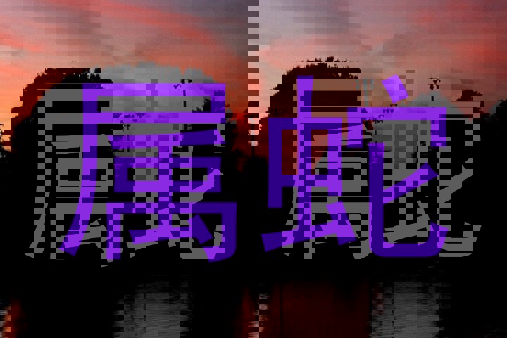 属蛇