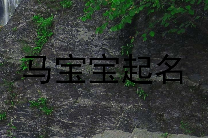 马宝宝起名