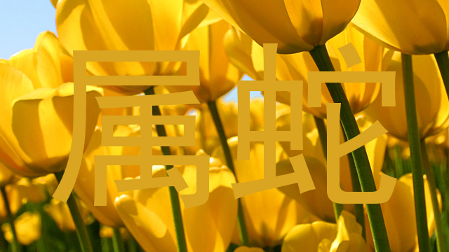 属蛇