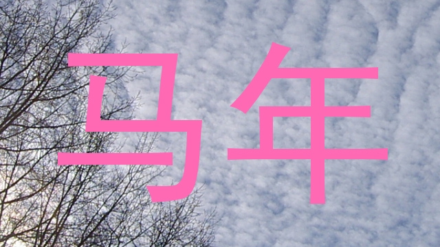 马年