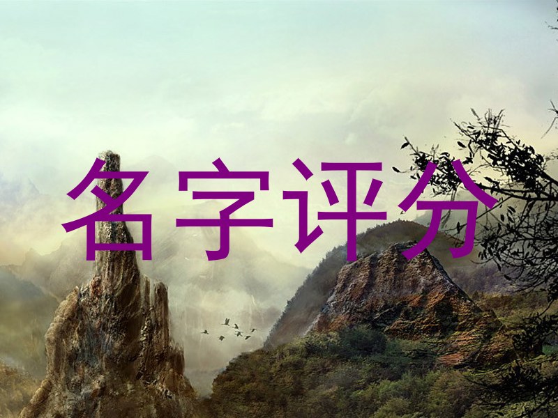 名字评分